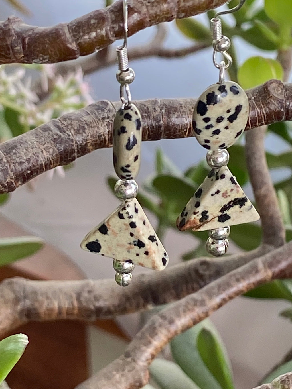 Dalmatian Jasper Earrings