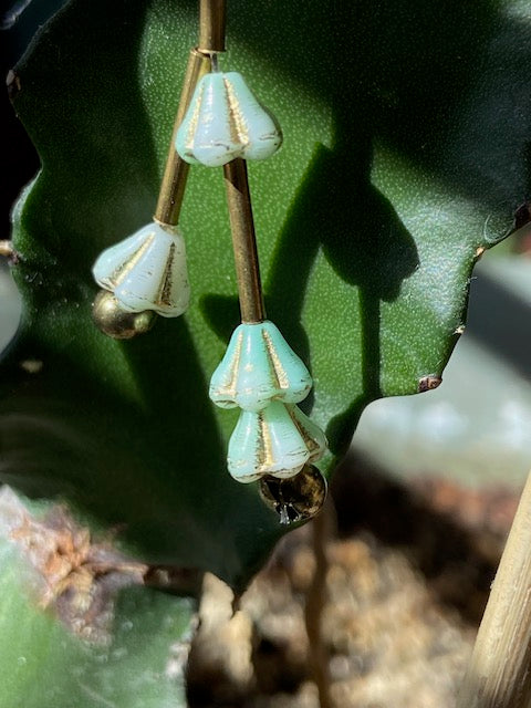 Green Czech Glass Bellflower with Brass Earrings